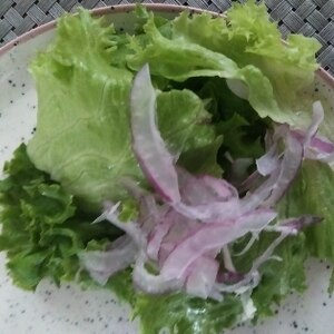 紫玉ねぎとベビーリーフのサラダ